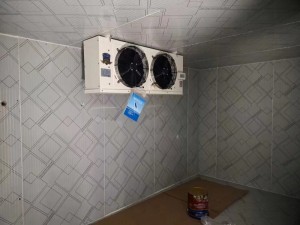 上?！ぜ味?0立方啤酒冷庫(0-5度）