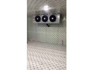九江·廬山280立方冷凍庫(kù)